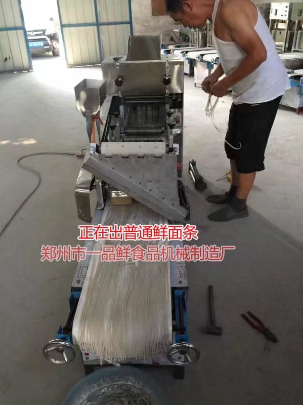 正在出普通鮮面條